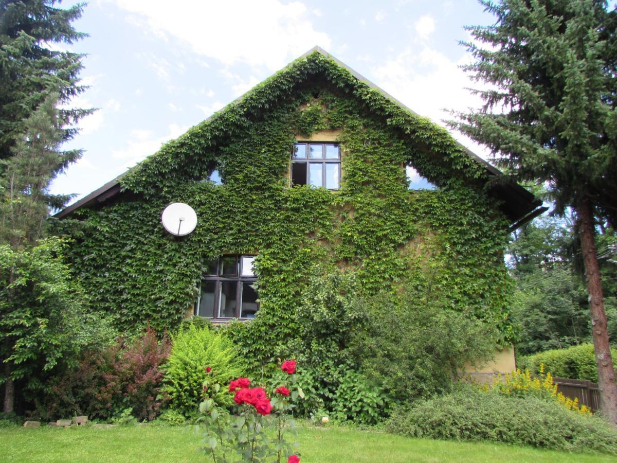 Villa Dum U Rybnika à Nydek Extérieur photo